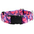 Wild Hearts EarthStyle Dog Collar
