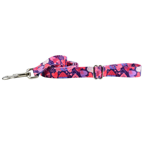 Wild Hearts EarthStyle Dog Leash