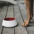 Wine Red And Mommo Dog Water Bowl
