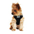 Wrap And Snap Choke Free Dog Harness Black