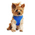 Wrap And Snap Choke Free Dog Harness Cobalt Blue