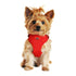 Wrap And Snap Choke Free Dog Harness Flame Red