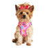 Wrap And Snap Choke Free Dog Harness Maui Pink