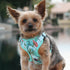 Wrap And Snap Choke Free Dog Harness Surfboard And Palms
