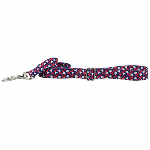XO EarthStyle Dog Leash