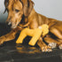 Yellow And Faustina Dog Toy