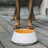 Yellow And Mommo Dog Water Bowl