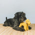 Yellow Fausta Dog Toy