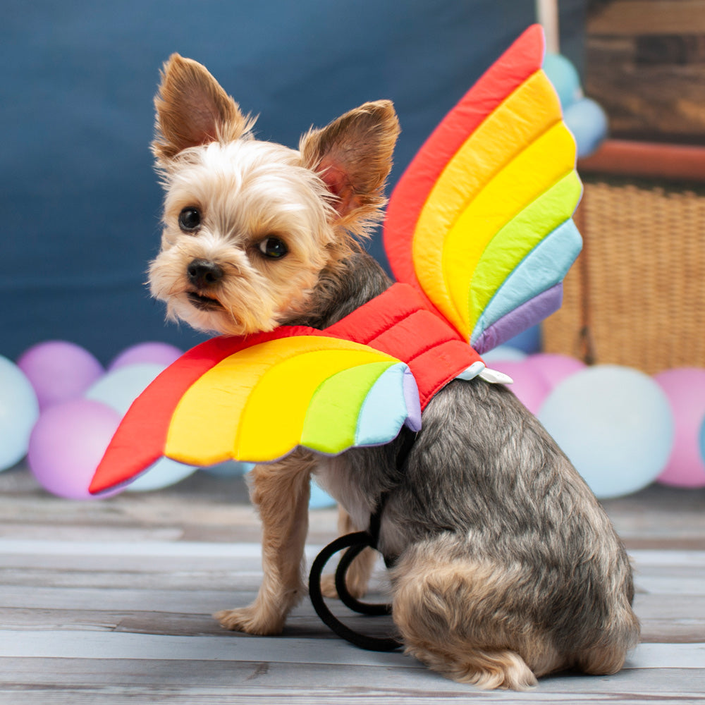 Rainbow Wings Dog Costume Bitch New York