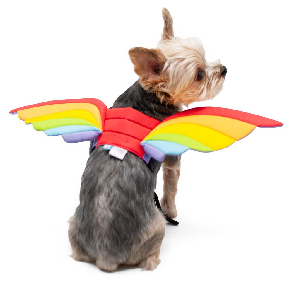 Rainbow Wings Dog Costume – Bitch New York