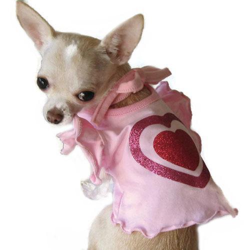 chihuahua in pink dress Tan Chihuahua Wearing a Pink Dress created on Craiyon