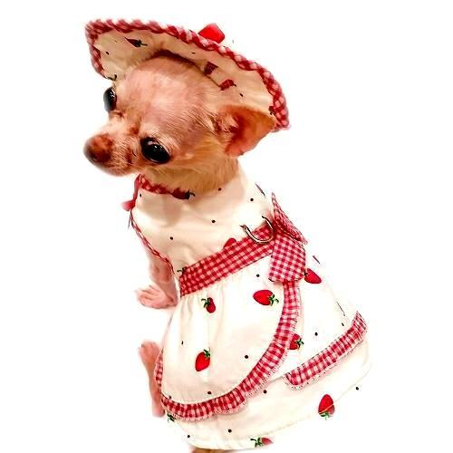 Strawberries And Cream Dog Harness Dress Set  Bitch New York