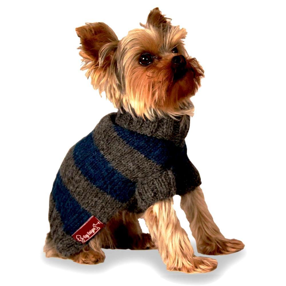 Striped Dog Sweater Blue And Gray – Bitch New York